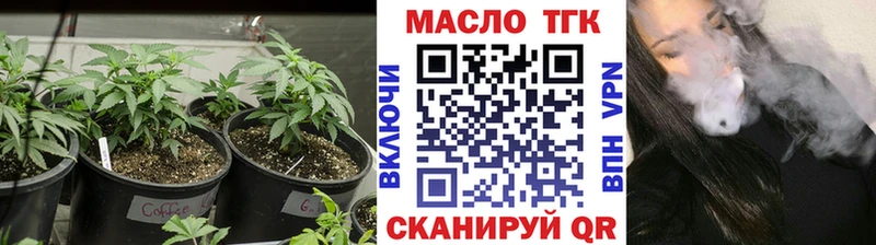 где купить наркоту  Карабулак  ТГК вейп 