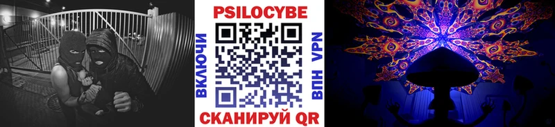 Псилоцибиновые грибы мицелий  darknet клад  Карабулак 